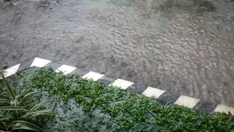 Rain fall Stock Footage 135382977