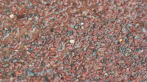 The rain fall on the gravel Stock Footage 31744935