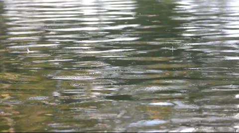 Rain fall in the lake Video stock 65785793