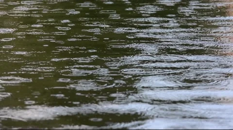 Rain fall in the lake Stock Footage 65786245
