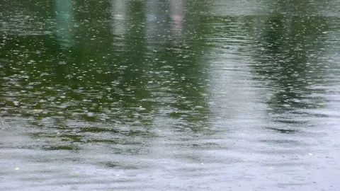 Rain fall in the lake Vídeo Stock 80919930