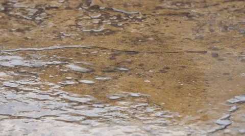 Rain Fall On Pavement 스톡 동영상 47985608