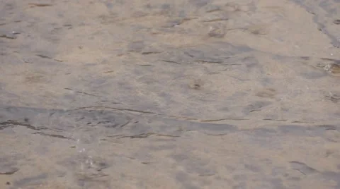 Rain Fall On Pavement Video stock 47986024