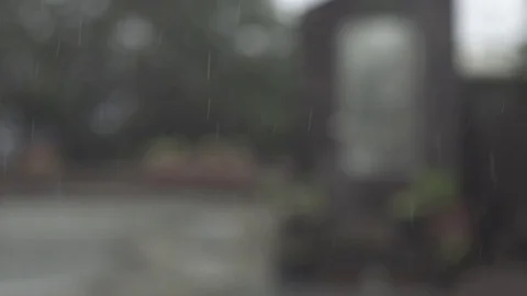 Rain Fall - Super Slow Motion 動画素材 74474296