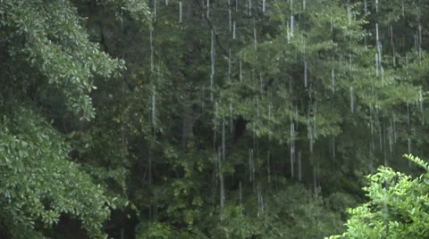 Rain Falling 2 스톡 동영상 27425930