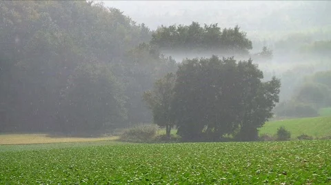 Rain falling on acre Stock Footage 520379