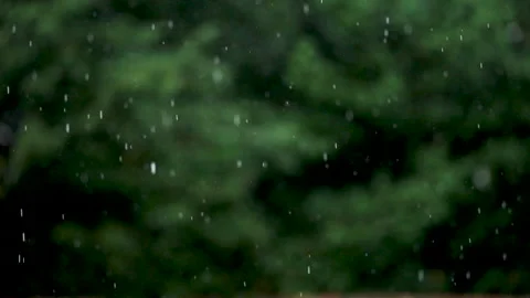 Rain falling against green background Stock Footage 221584888