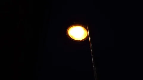Rain falling against a street light Stock Footage 119534782
