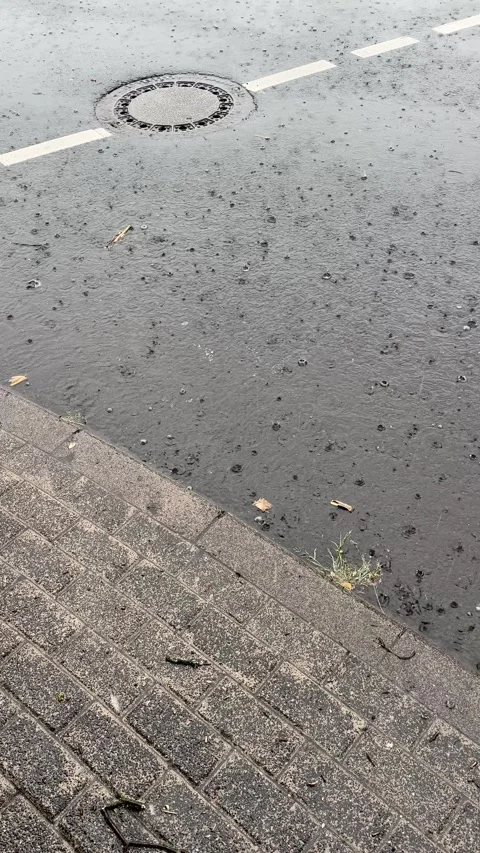 Rain falling on the asphalt Stock Footage 313643421