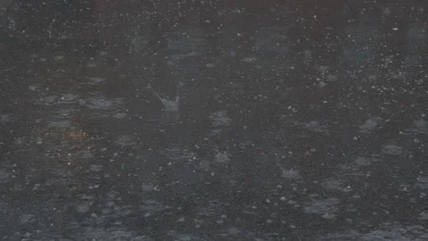 Rain falling on asphalt road Stock Footage 128206239