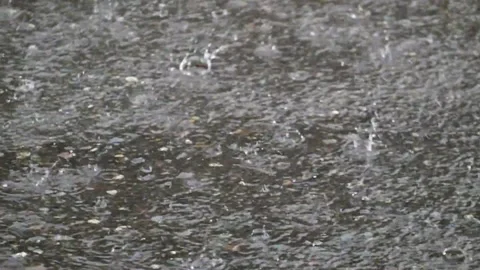 Rain falling on the asphalt road Video stock 270155614