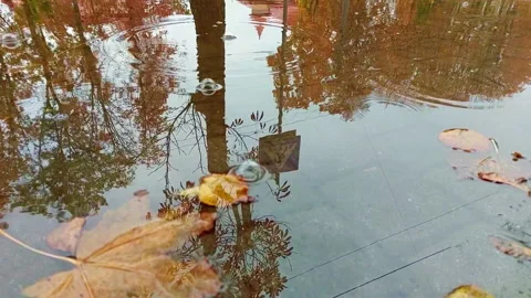 Rain falling on an autumn leaves puddle, slow motion. Stock Footage 255706556