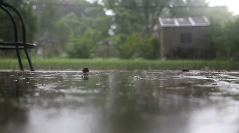 Rain falling on backyard patio Video stock 54800404