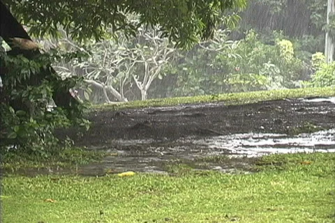 Rain falling on bare ground Video stock 745161