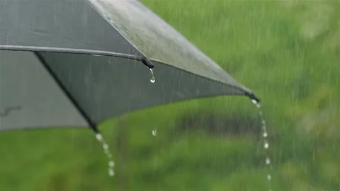 Rain Falling on Black Umbrella, Rainy Weather Background Stock Footage 317579377