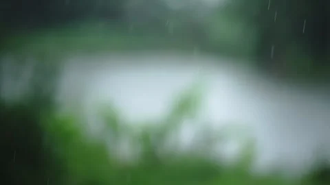 Rain falling with a blurry background 스톡 동영상 293984770