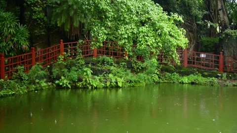 Rain falling on a calm pond in a lush green park garden Stock Footage 342112337