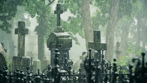 Rain falling on cemetery crosses at Bernardine Cemetery in Vilnius Stock Footage 336734568