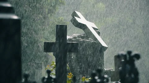 Rain falling on cemetery crosses at Bernardine Cemetery in Vilnius Stock Footage 336734602
