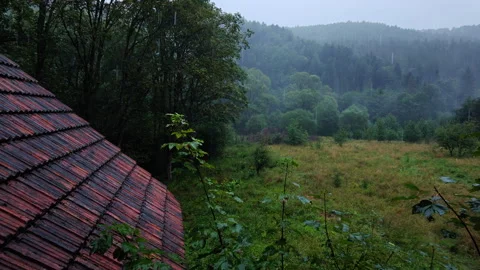 Rain falling on clay tile roof static medium shot in foggy forest morning Stock Footage 346070674