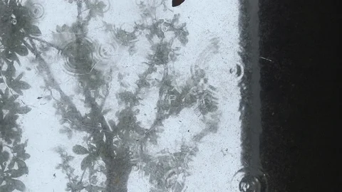Rain falling on a clear roof Stock Footage 116934507