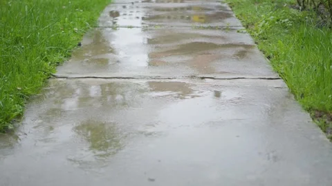 Rain falling on a concrete path between the grass in the yard Stock-Footage 305317040