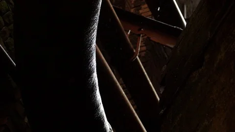 Rain falling on a dark commercial warehouse scene Stock Footage 88645172