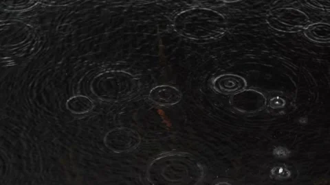 Rain falling on a dark lake surface Stock Footage 237438946