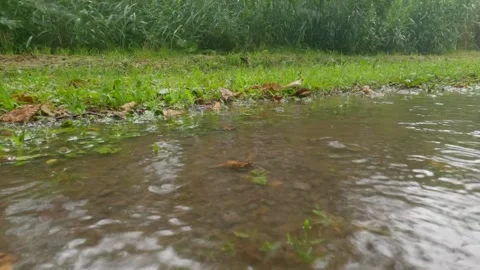 Rain falling in a dirt track puddle Stock Footage 245877910