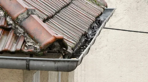 Rain Falling Down The Drain Video stock 2227052