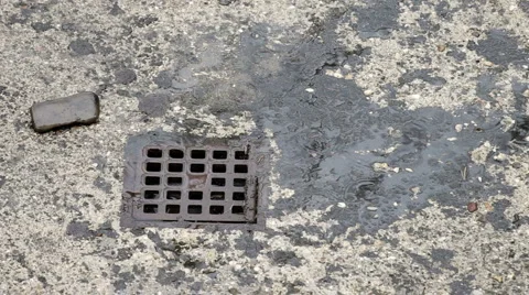 Rain Falling Down The Drain Vídeos de archivo 2241994