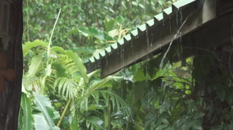 Rain Falling Down from the Roof Vídeos de archivo 68727064