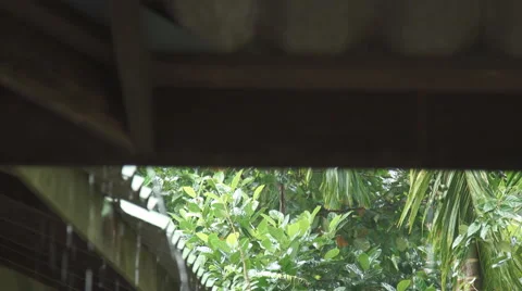 Rain Falling Down from the Roof 動画素材 68727814