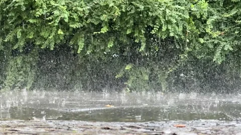 Rain falling down in slow-motion into puddles on sidewalk Stock Footage 277340113