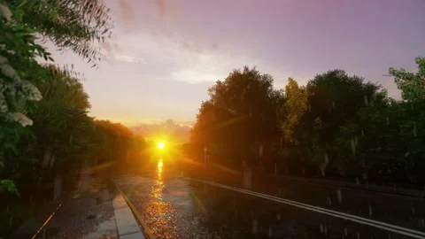 Rain falling down on a street t sunset time Stock Footage 166601024