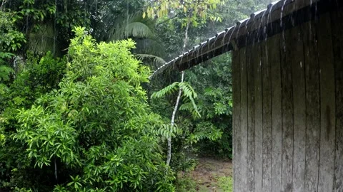 Rain is falling down on a tin roof of a wooden shed in the backyard Vidéo 152861893