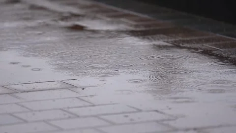 Rain falling on Driveway Vidéo 278816541