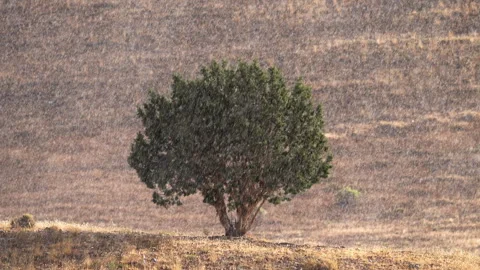 Rain falling during a storm moving through the Utah desert Stock Footage 344614741
