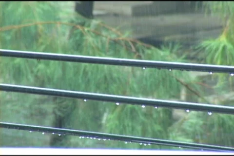 Rain Falling On Electrical Lines 스톡 동영상 515598