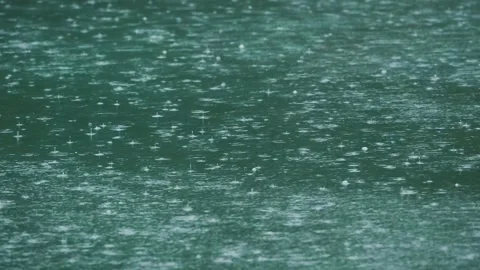The Rain Falling on the Five-Colored Marsh Stock Footage 332817572