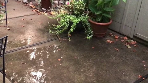 Rain Falling on a Flower Pot on a Patio Stock-Footage 79111019