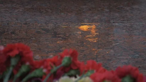 Rain is falling on the flowers. The reflection of the Eternal flame. The Victory Stock-Footage 105566016