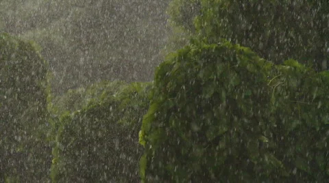 Rain falling Video stock 526668