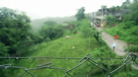 Rain falling Stock Footage 8980022