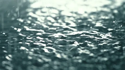 Rain falling Stock Footage 70574662