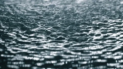 Rain falling Stock Footage 70588606