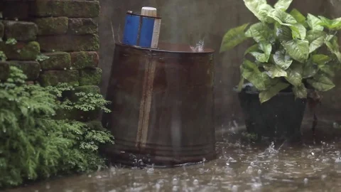 Rain falling Stock Footage 74908621