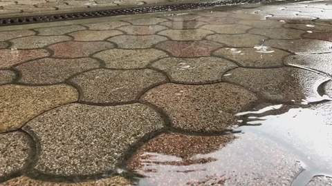 Rain falling Stock Footage 108538557