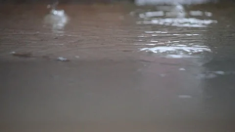 Rain falling Stock Footage 113122142