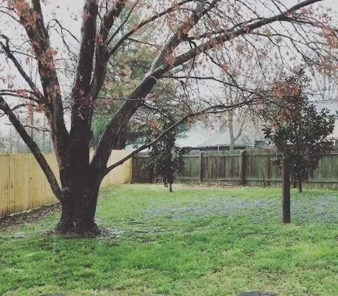Rain Falling Stock Footage 149326524